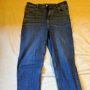 American Eagle mom jeans - size 10 short